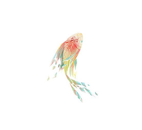 矢量手绘鱼