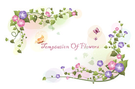 唯美牵牛花花边边框背景素材