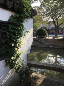 枫泾古镇