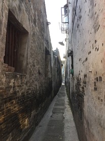 枫泾古镇