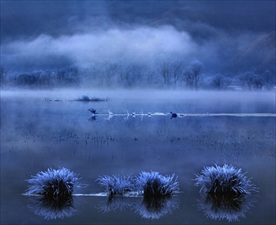 神农架大九湖湿地风景
