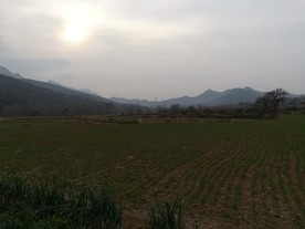 少林景色