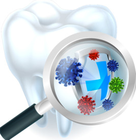 放大镜里牙齿上的盾牌细菌