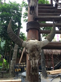 羊头