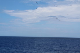 大海天空