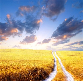 高清夕阳黄昏图