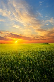 高清夕阳黄昏图