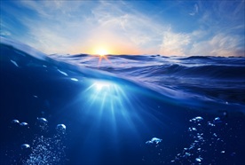 大海