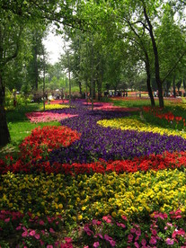 公园花圃