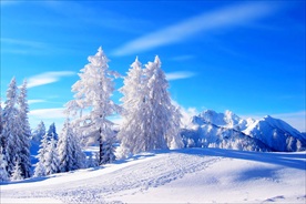冰天雪地