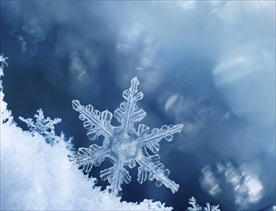 雪花