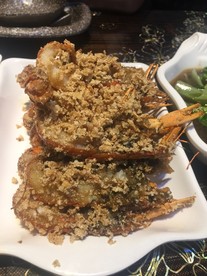 小青龙