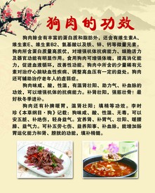 狗肉的功效