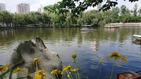 昆明翠湖公园