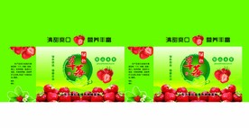 草莓    草莓包装