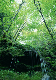 山林