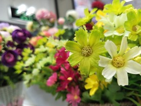 插花花店