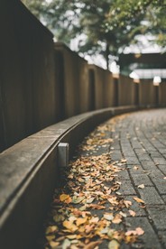 深秋