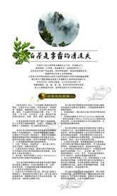 白茶