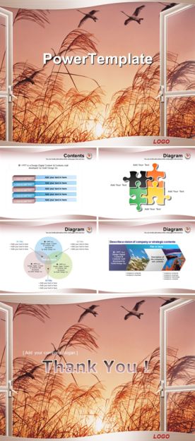 红色芦苇大雁背景PPT模板