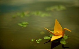 折纸