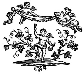 葡萄 葡萄纹 欧式纹 黑白纹