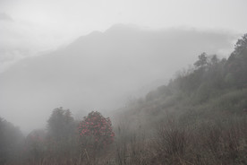 大山美景