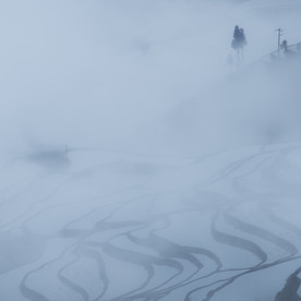 冬日里的梯田美景