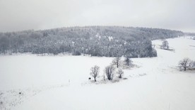森林雪景航拍