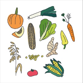 手绘蔬菜