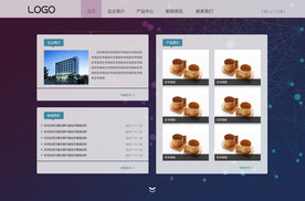 企业网站首页