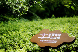 爱护环境
