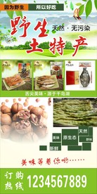 野生土特产