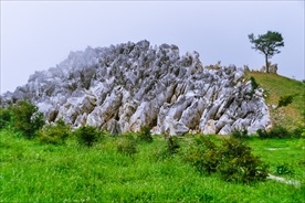 高山草场