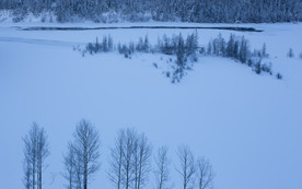 大雪纷飞