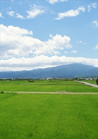 农田