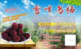 乌梅海报