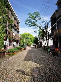 乡村街道美景