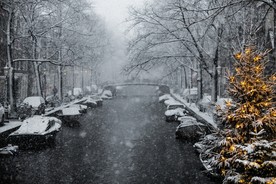 大雪纷飞