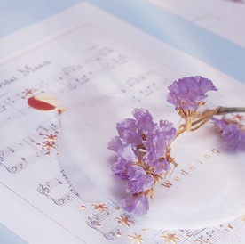 背景图 背景 底图 鲜花背景