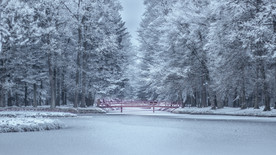 雪地摄影
