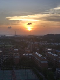 咸蛋黄