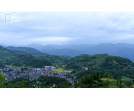 永嘉 梯田