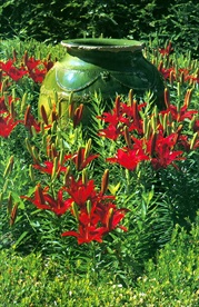 鲜花