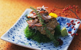 凉菜美食