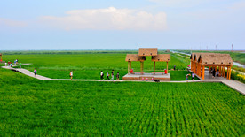 草原美景