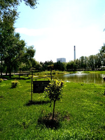 城市绿化