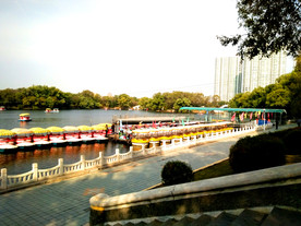 龙沙公园秋日游船