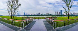 乡野景观