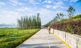乡野景观